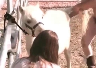 Sweet white horse enjoys filthy action