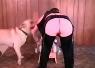 Retriever is drilling her tight twat