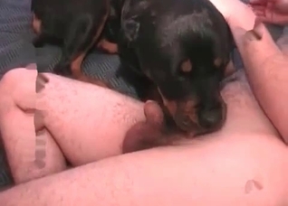 Sexy dark dog is being fucked hard