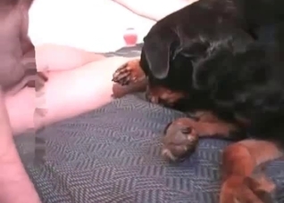 Sexy dark dog is being fucked hard