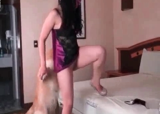 Big retriever fucks a nice-looking girl