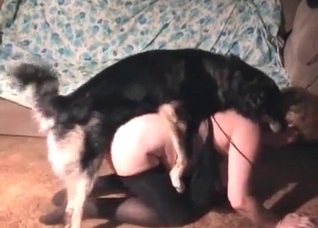 Dirty animal porn with a hot lass