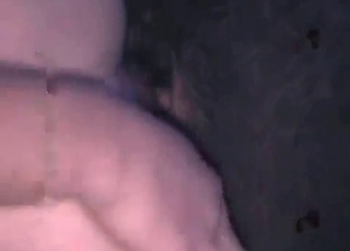 Dirty anal exploration with a dog