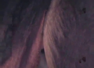 Dirty anal exploration with a dog