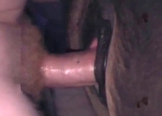 Dirty anal exploration with a dog