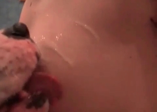 Doggy is cumming on her boobies