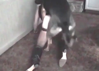 Boxer and amazingly sexy zoophile