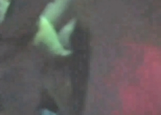Small white dog is being fucked in ass