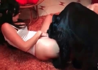 Her asshole is being fucked by a dog