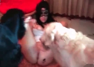 Her asshole is being fucked by a dog