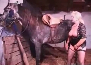Chubby milf sucks a horse dick