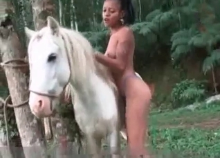 Outdoor bestiality with a white pony