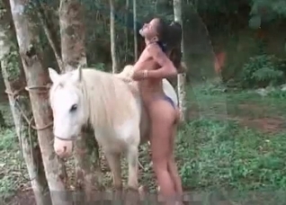 Outdoor bestiality with a white pony