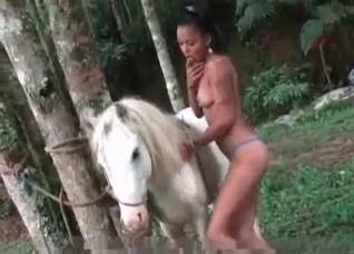 Outdoor bestiality with a white pony