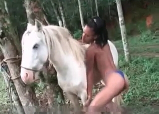 Outdoor bestiality with a white pony