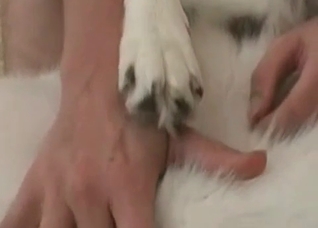 White dog enjoys anal action