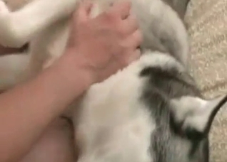 White dog enjoys anal action