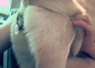 Hot amateur bestial sex in the bed
