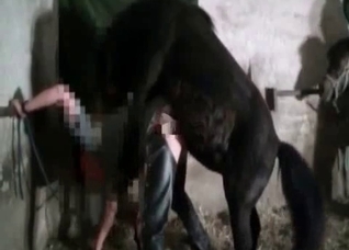 Brutal sex with a sensual pony