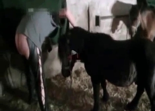 Brutal sex with a sensual pony