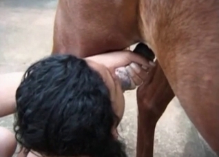 Two tanned girls are sucking a wiener