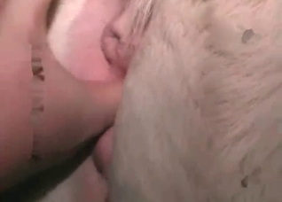 White pony is being fucked from behind