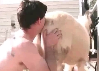 White pony is being fucked from behind