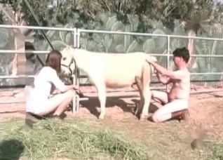 White pony is being fucked from behind