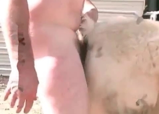 White pony is being fucked from behind