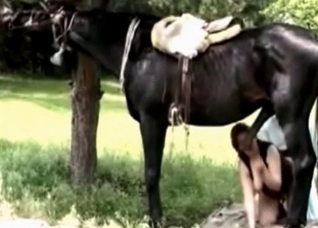 Big black stallion dick in her mouth