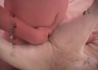 Husky is sucking a juicy vagina