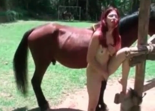 Redhead is sucking a stallion dick