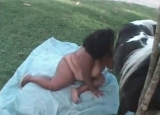 Curvy slut enjoys stallion sex