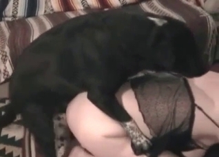 Nasty doggy is being licked and fucked