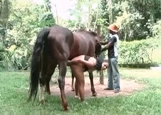 Girl enjoys horse dick in her ass