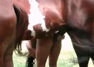Girl enjoys horse dick in her ass