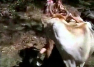 Sweet cow enjoys outdoor bestiality
