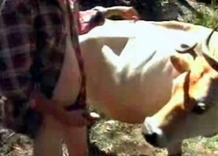 Sweet cow enjoys outdoor bestiality