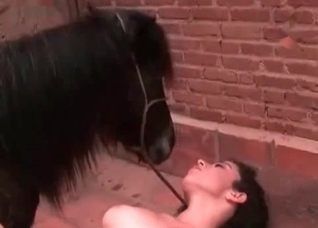 Dog drills her wet vagina so deep