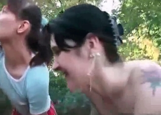 Enjoyable porn action with a horse
