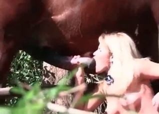 Skinny blonde fucks with a stallion