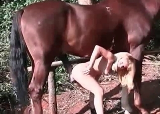 Skinny blonde fucks with a stallion