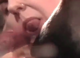 Sweet blowjob action with a doggy