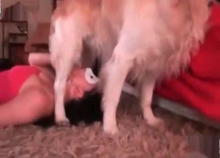 Retriever want to fuck so freaking much