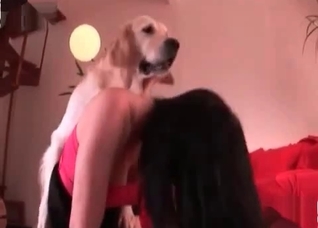 Retriever want to fuck so freaking much