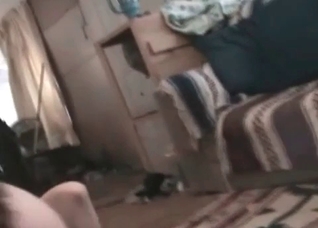 Enjoyable amateur porn with dogs