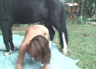 Nasty as hell animal sex with a horse