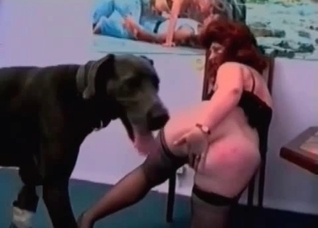 Cute black dog licks a juicy vagina
