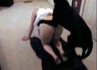 Hor black retriever fucks a zoophile girl