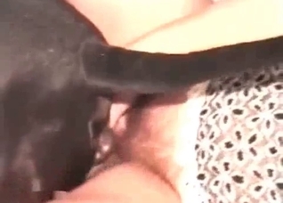 Doggy is banging a slutty zoophile